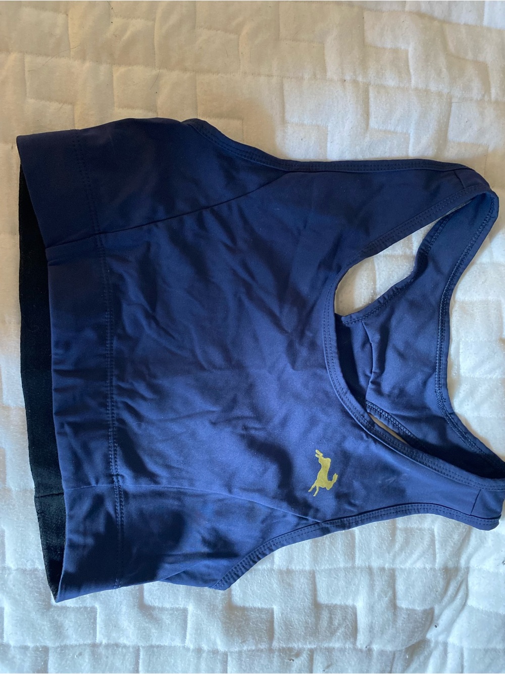 Tracksmith Allston Bra